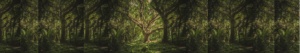Analogie entre un arbre et une personne douloureuse - ABC Douleur